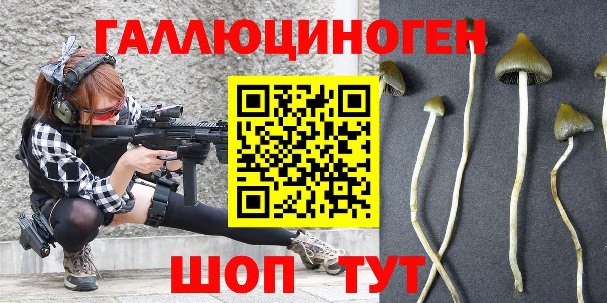 Урус-Мартан  Галлюциногенные грибы мицелий  Вход с VPN 